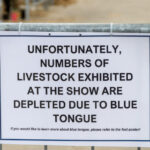 alerta epidemiologica in gorj focar de boala limbii albastre la bovine virusul se extinde in europa anunta expertii veterinari 68dd3eddf11c1