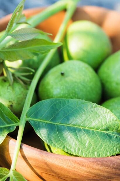 alimentul recomandat de medici pentru reducerea colesterolului si riscului de boli cardiovasculare 68e8b08c64c58