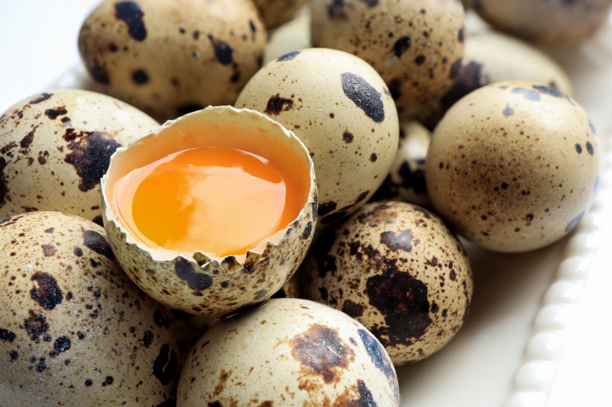 ouale in dieta cum alegi variantele cele mai nutritive 68f1eb13d12be