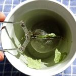 noua obsesie tiktok ceaiul cu efecte calmante digestive si antivirale care actioneaza si ca un ozempic natural 6925558905f7c