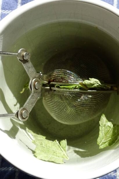 noua obsesie tiktok ceaiul cu efecte calmante digestive si antivirale care actioneaza si ca un ozempic natural 6925558905f7c