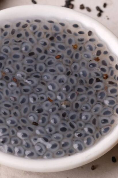 seminte care actioneaza ca un scrub pentru stomac sunt bune pentru calmarea tractului digestiv si curatarea colonului 69246d92295ef