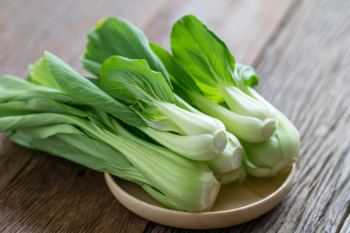 bok choy pak choi leguma bogata in nutrienti pentru sanatatea digestiva osoasa si cardiovasculara 695282da1afac