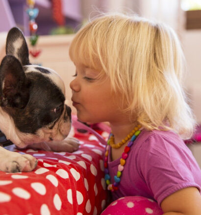 unii caini pot invata cuvinte doar ascultand oamenii asa cum fac copiii mici arata un nou studiu 696742f0251b4